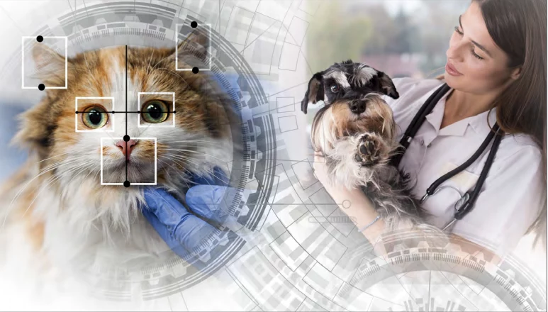 پیش بینی بیماری حیوانات با هوش مصنوعی